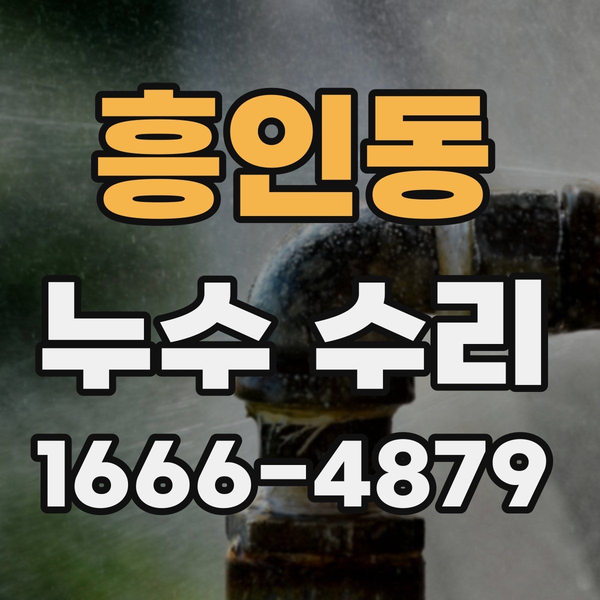 흥인동 누수 수리