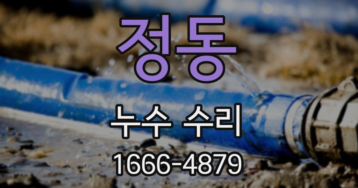 정동 누수 수리