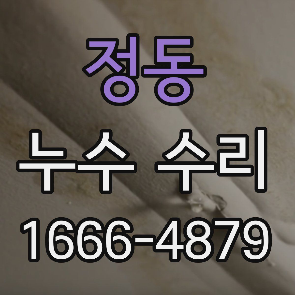 정동 누수 수리