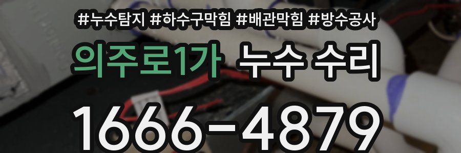 의주로1가 누수 수리