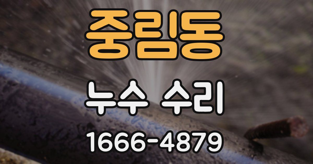 중림동 누수 수리