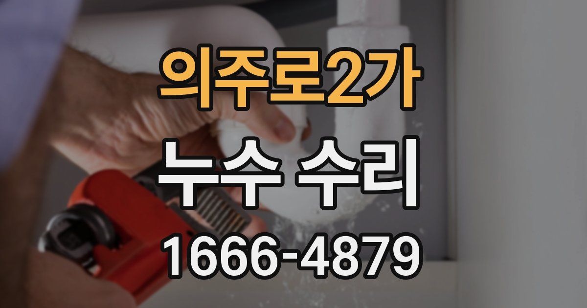 의주로2가 누수 수리