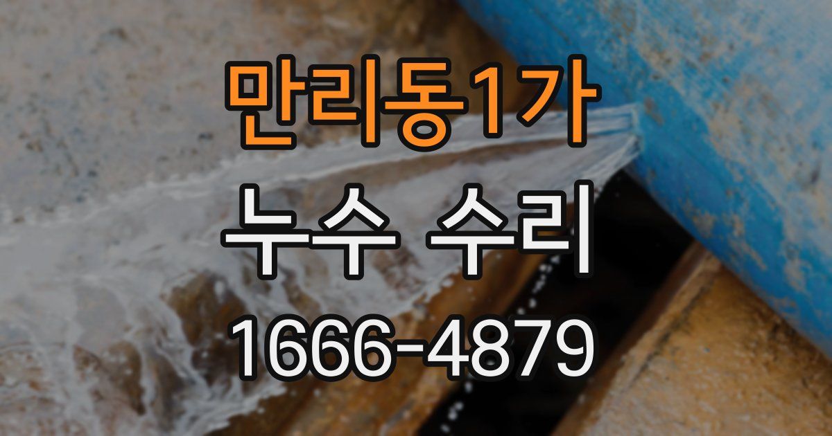 만리동1가 누수 수리
