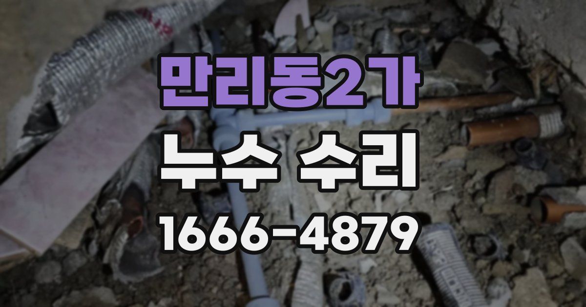 만리동2가 누수 수리