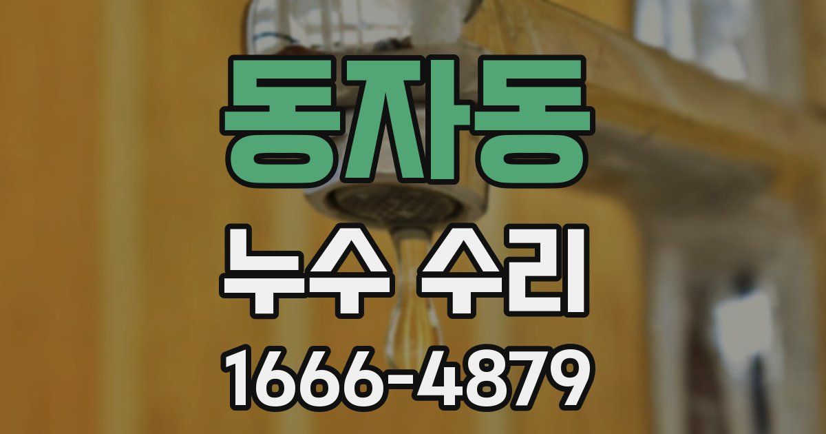 동자동 누수 수리