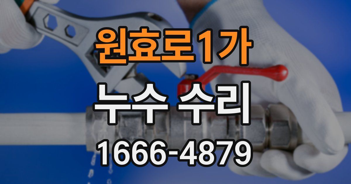 원효로1가 누수 수리