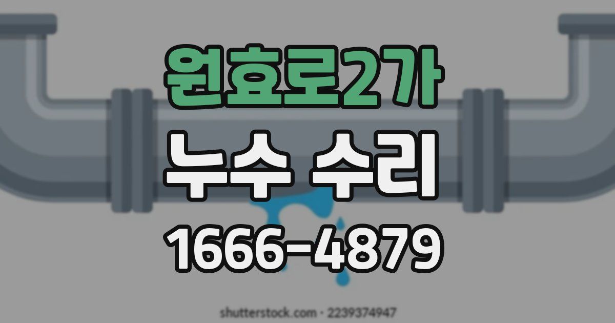 원효로2가 누수 수리