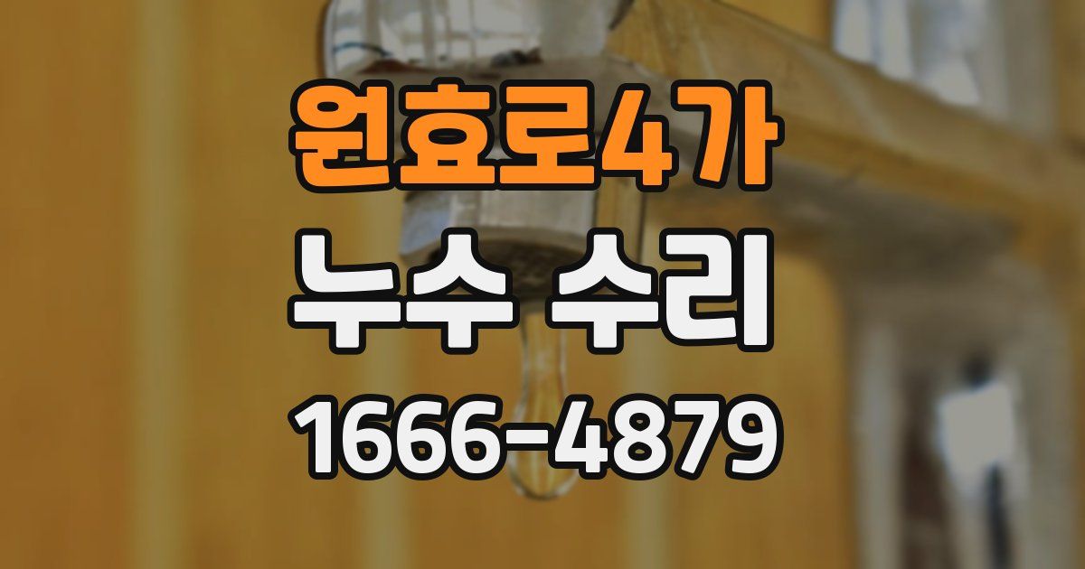 원효로4가 누수 수리