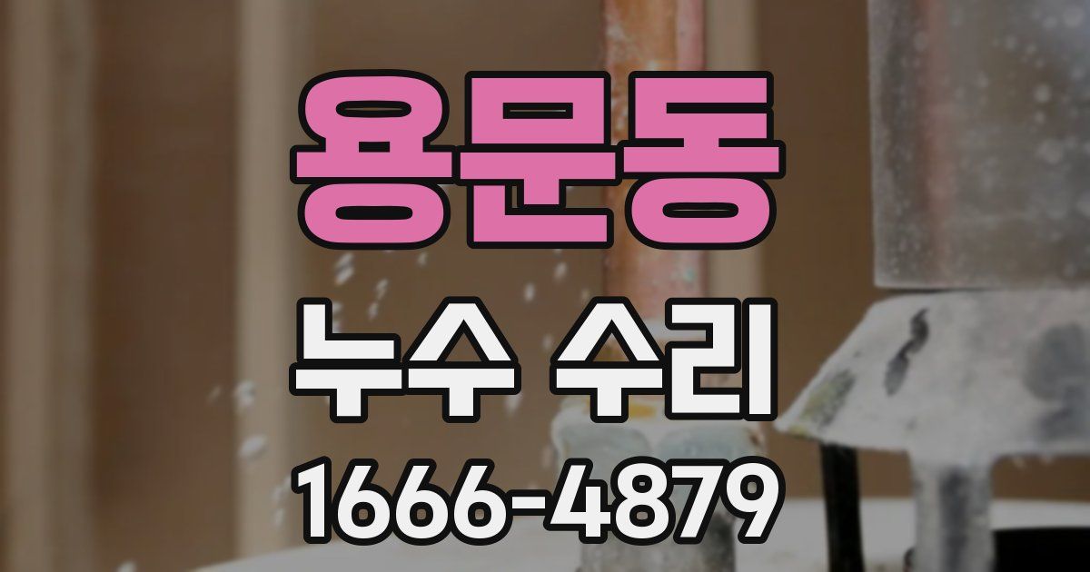 용문동 누수 수리