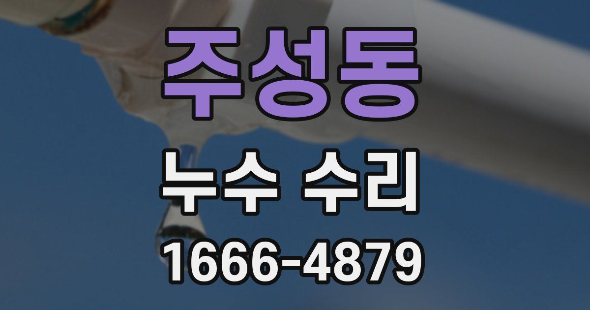 주성동 누수 수리