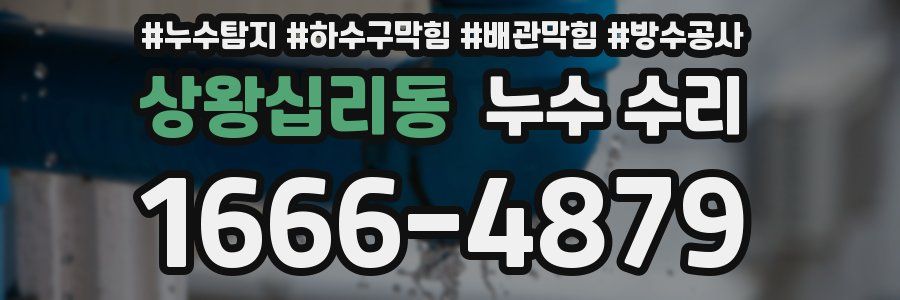 상왕십리동 누수 수리