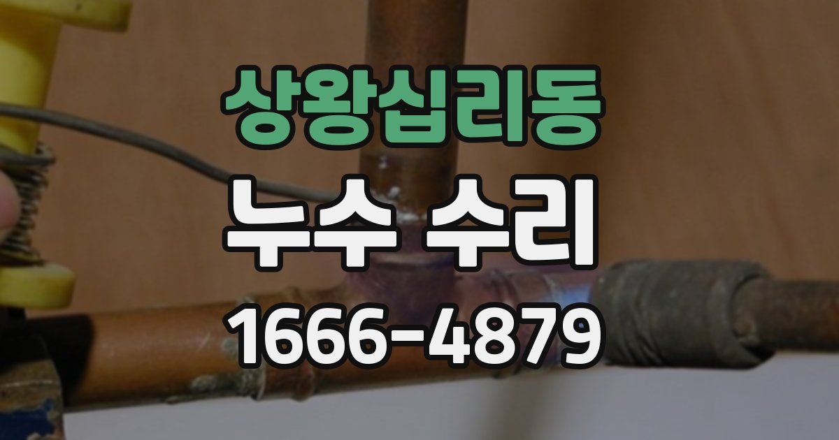 상왕십리동 누수 수리