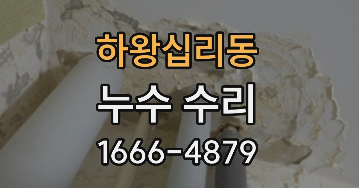 하왕십리동 누수 수리