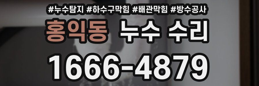 홍익동 누수 수리