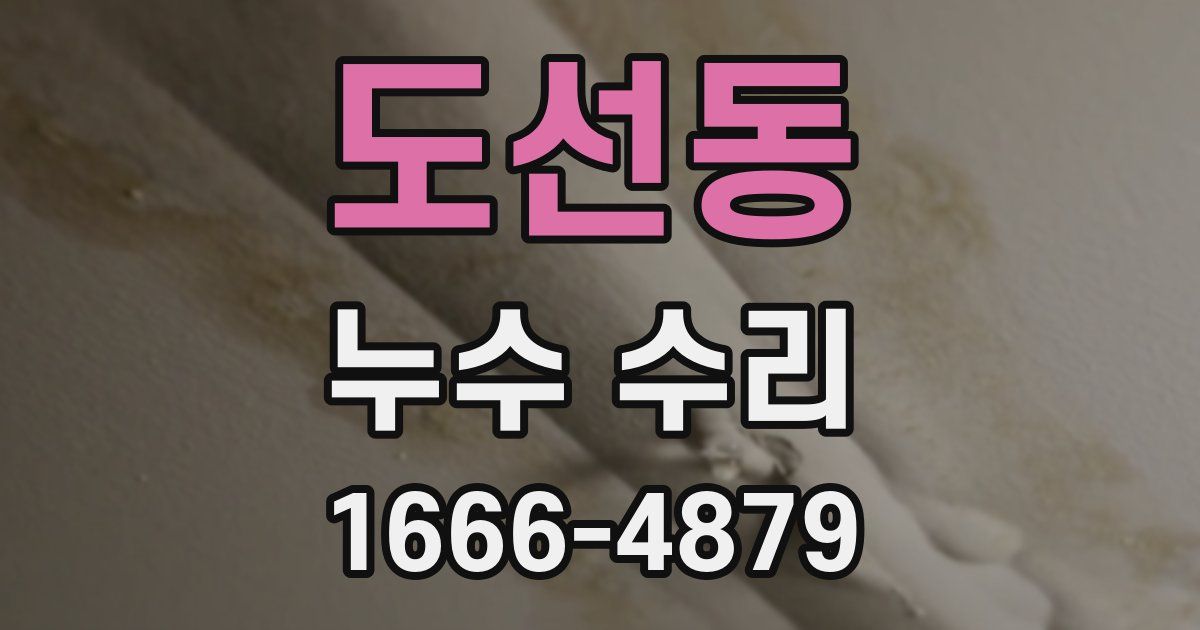 도선동 누수 수리