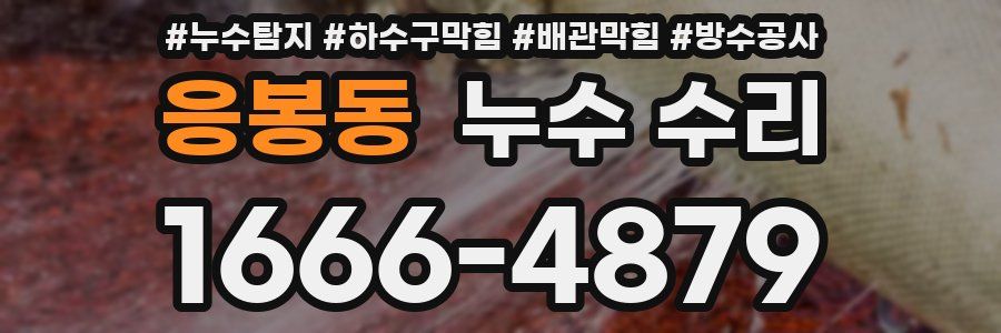 응봉동 누수 수리