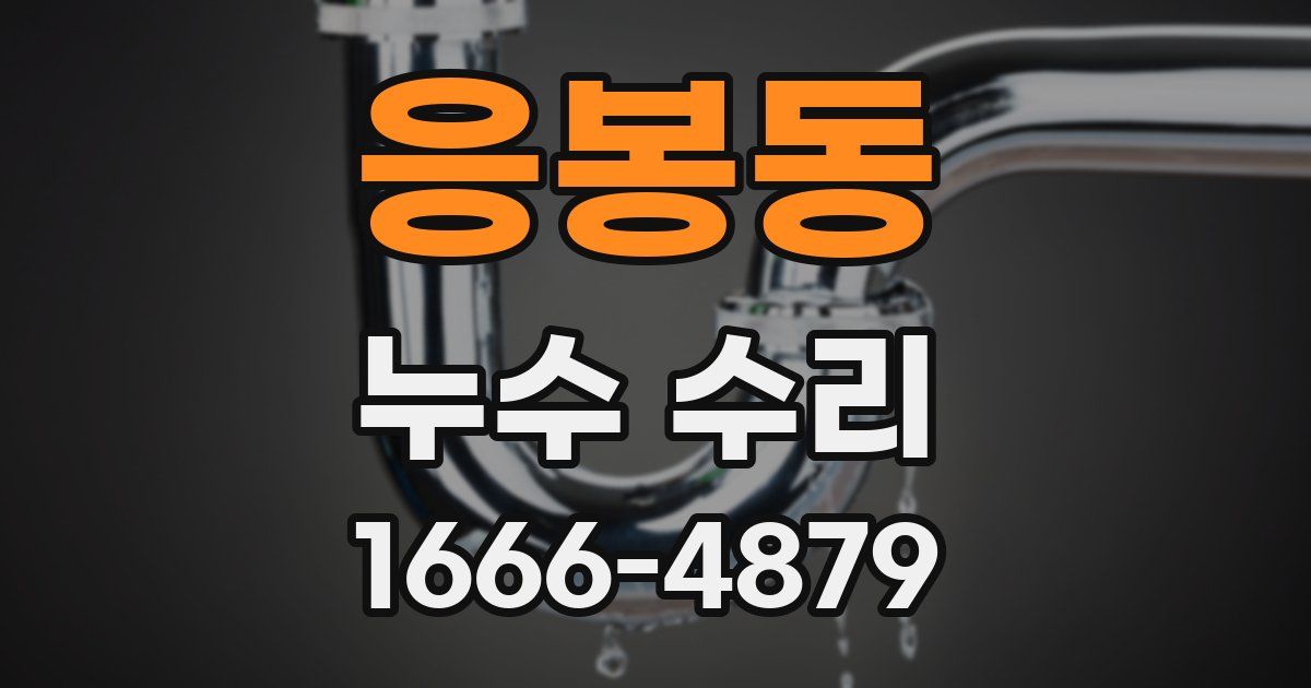 응봉동 누수 수리