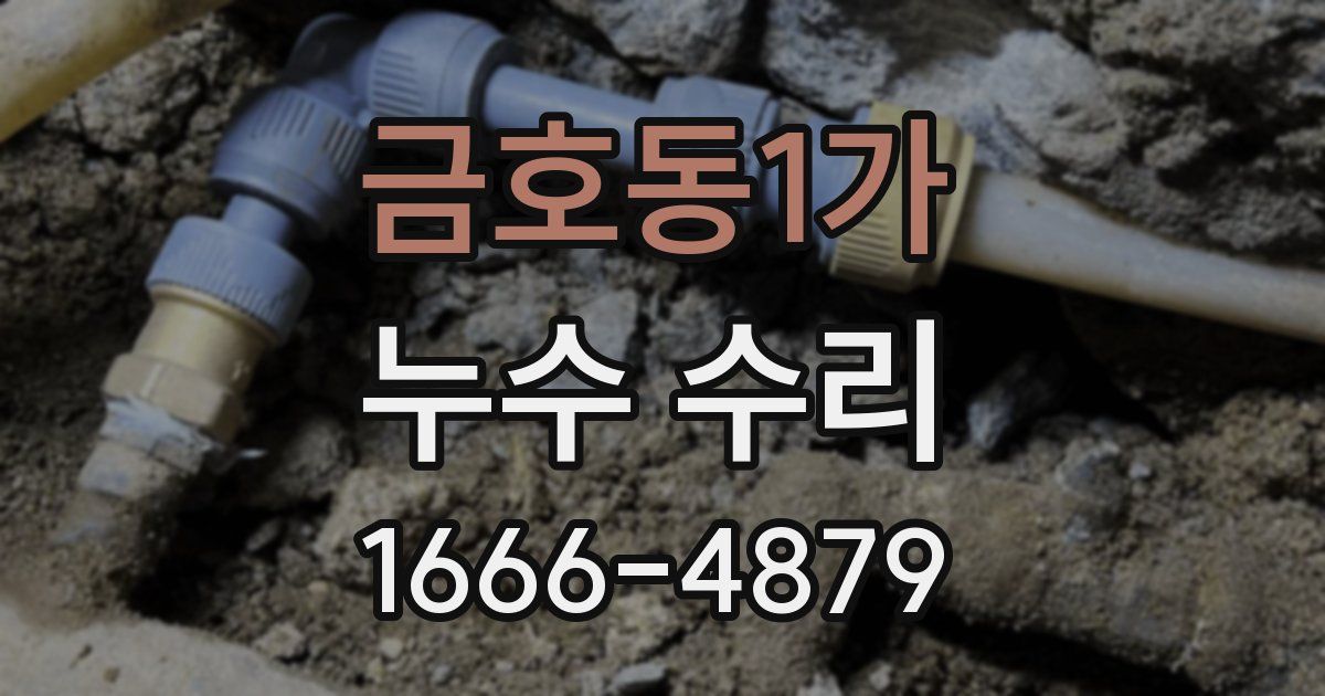 금호동1가 누수 수리