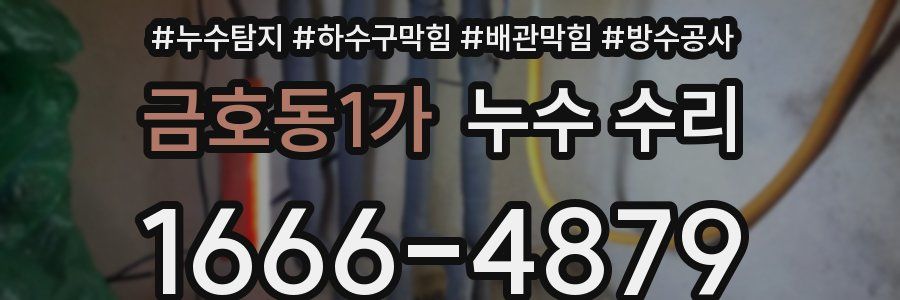 금호동1가 누수 수리