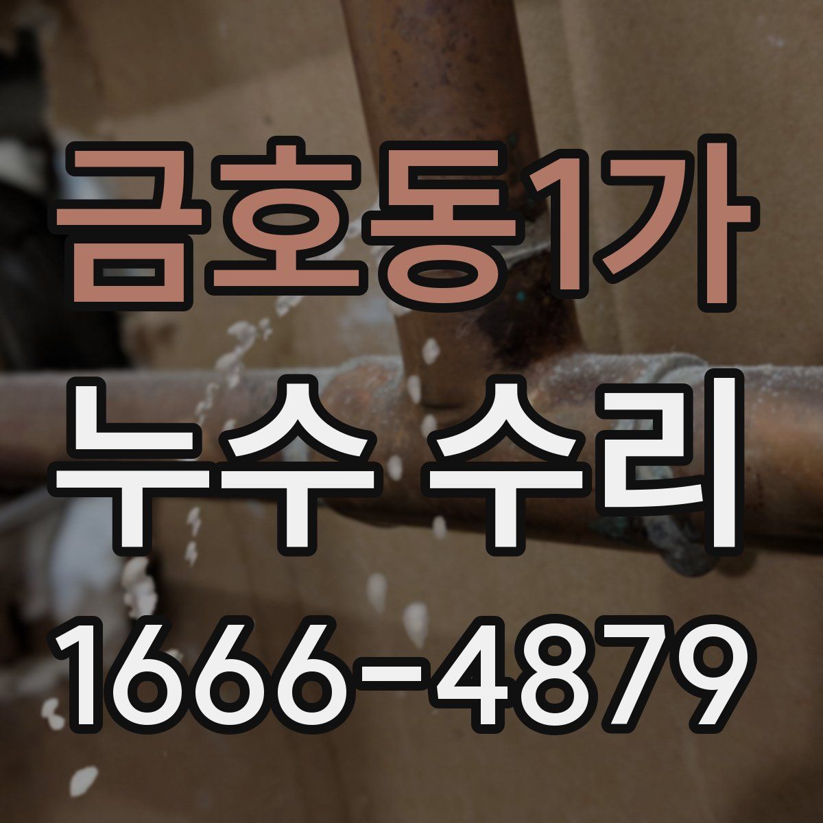 금호동1가 누수 수리