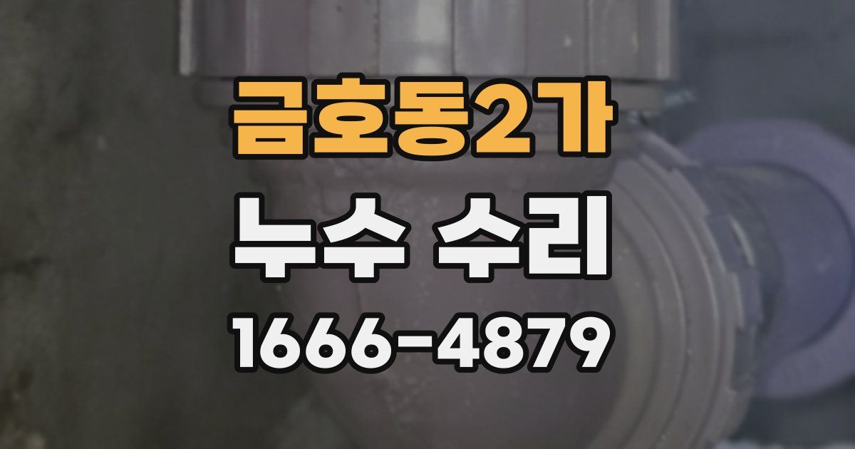 금호동2가 누수 수리