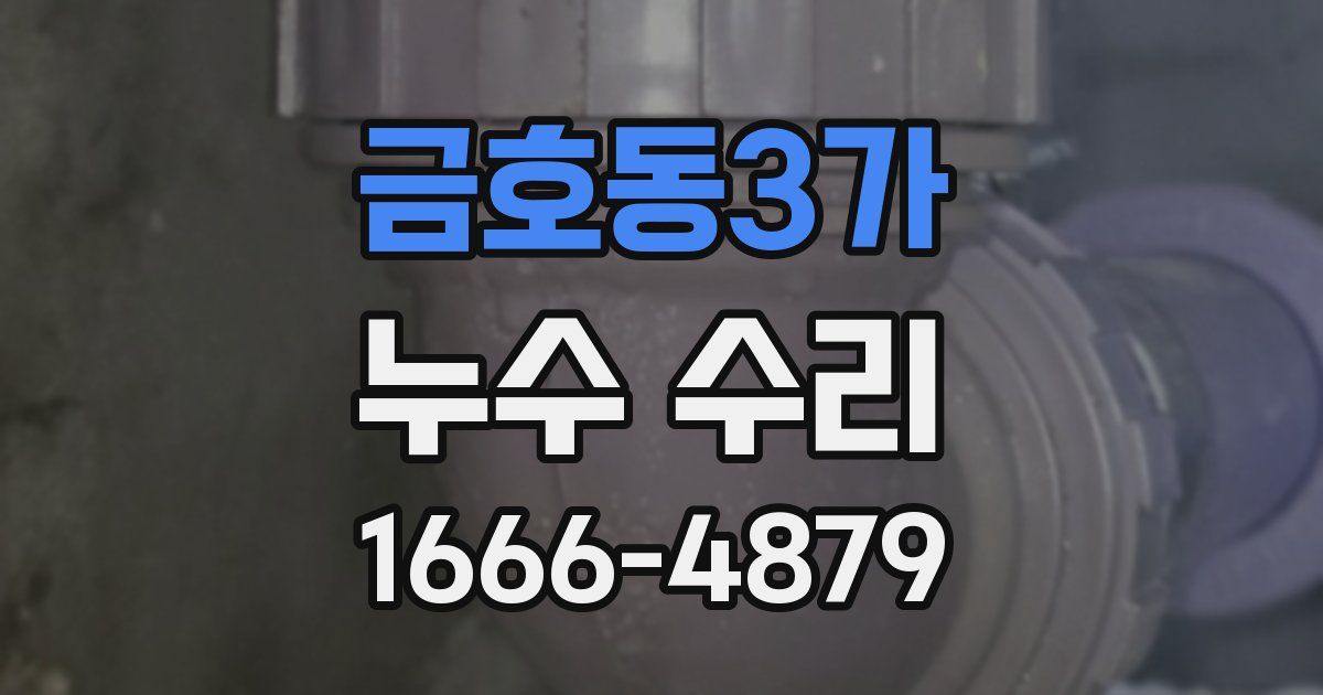 금호동3가 누수 수리