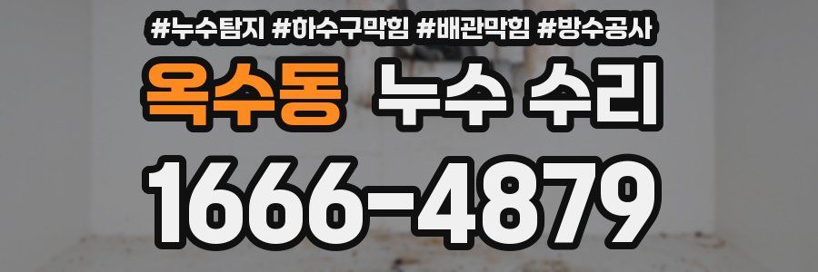 옥수동 누수 수리