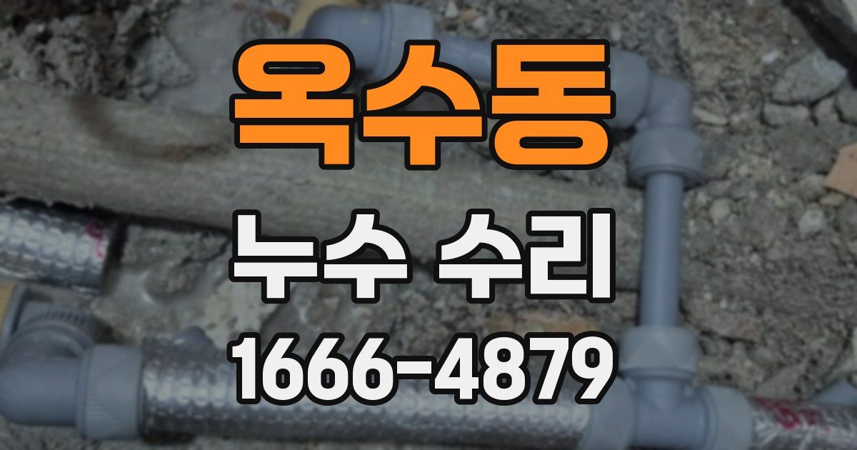 옥수동 누수 수리