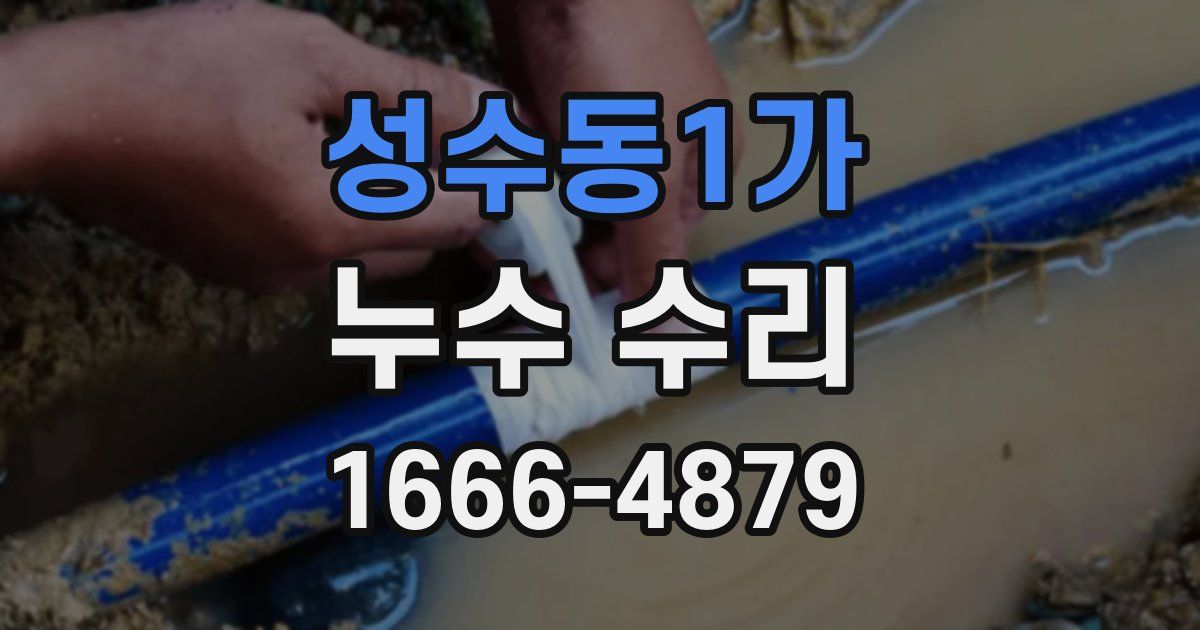 성수동1가 누수 수리
