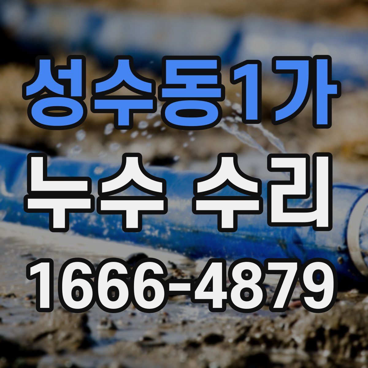 성수동1가 누수 수리