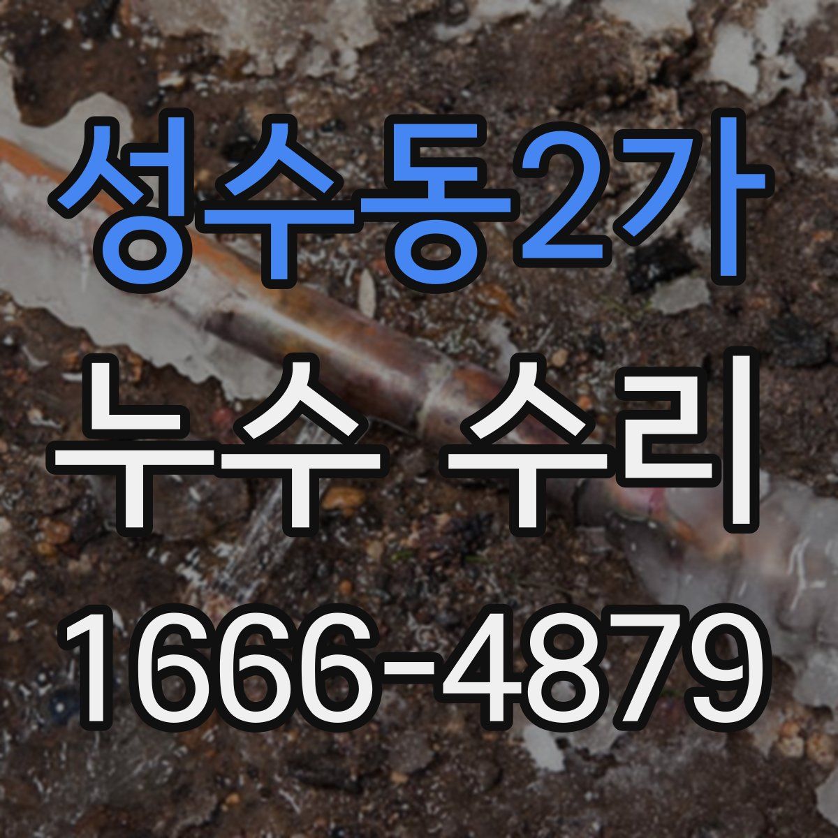 성수동2가 누수 수리