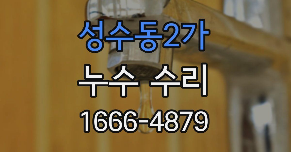 성수동2가 누수 수리