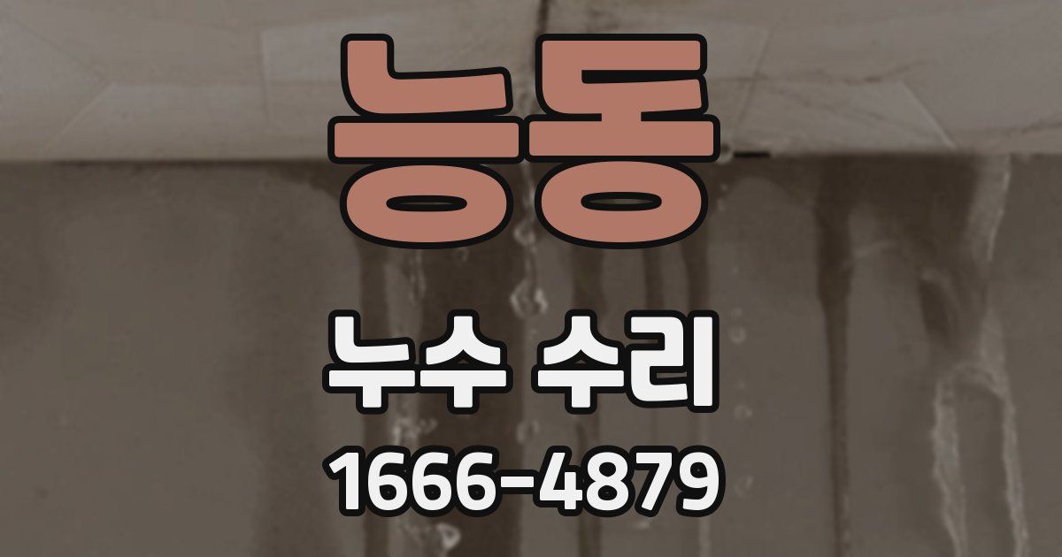 능동 누수 수리