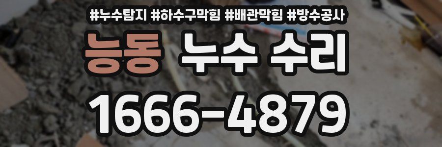 능동 누수 수리