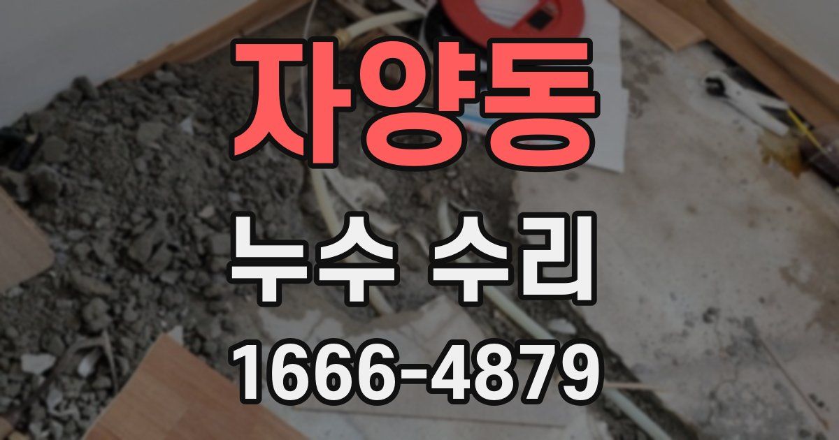 자양동 누수 수리