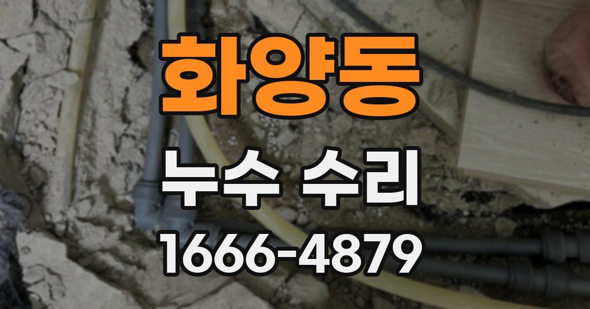 화양동 누수 수리