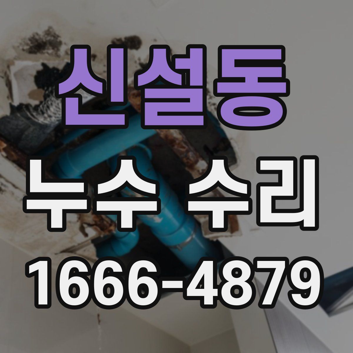 신설동 누수 수리