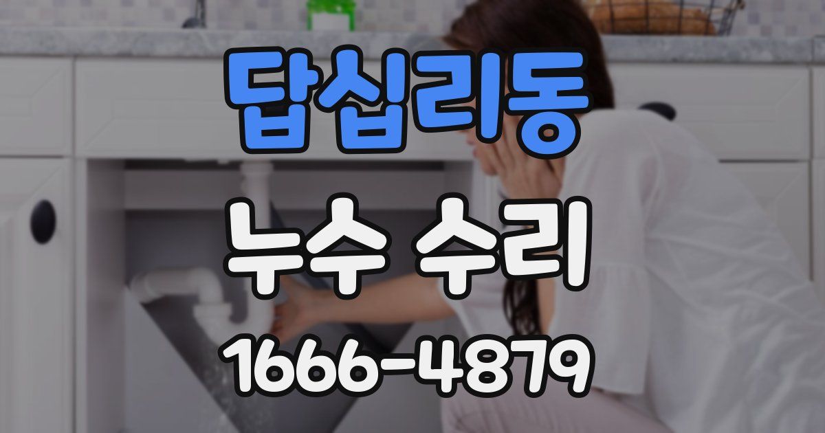 답십리동 누수 수리