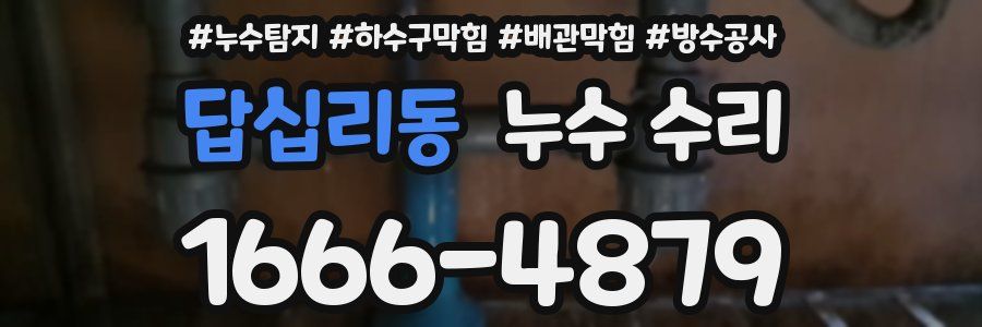 답십리동 누수 수리