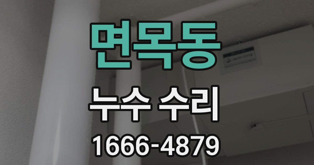 면목동 누수 수리