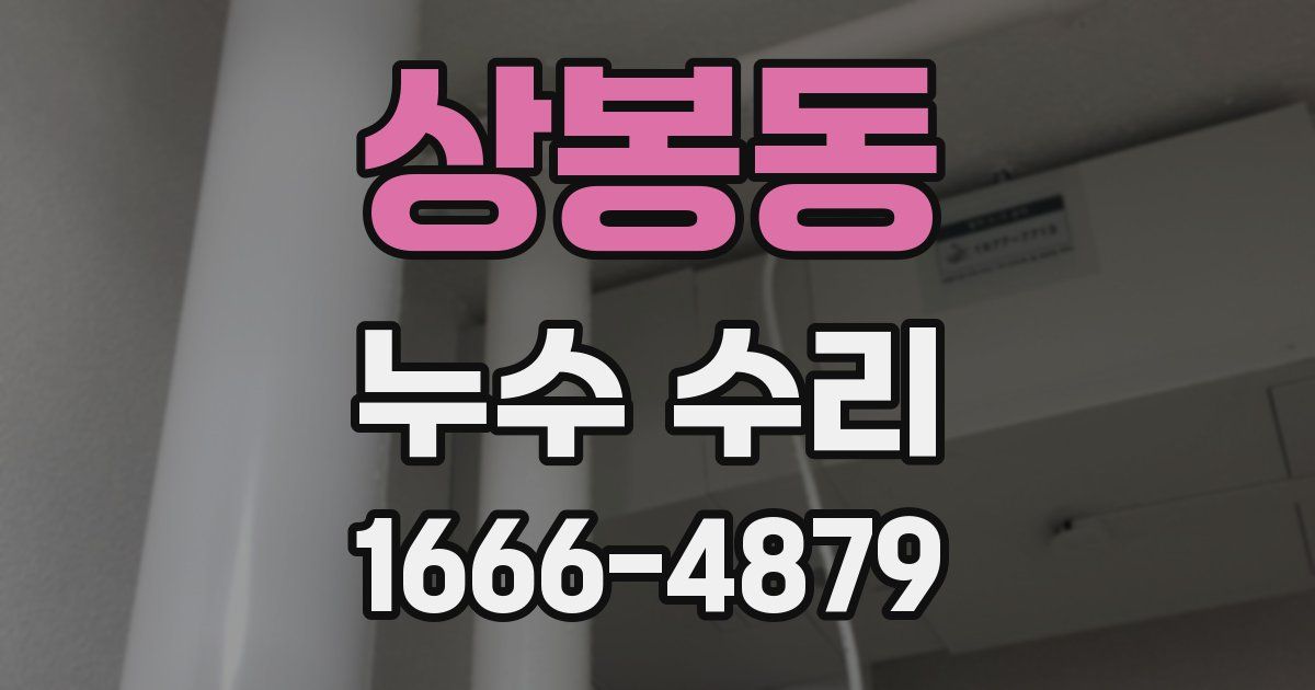 상봉동 누수 수리