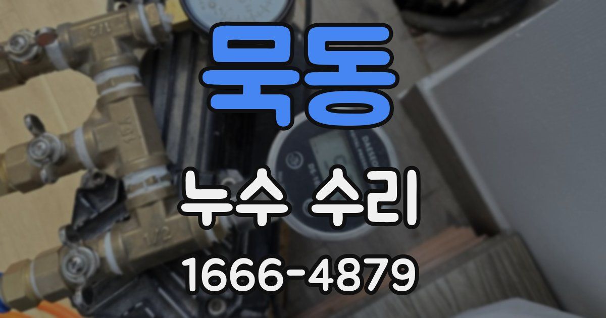 묵동 누수 수리