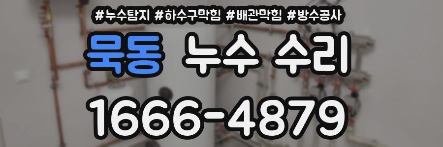 묵동 누수 수리