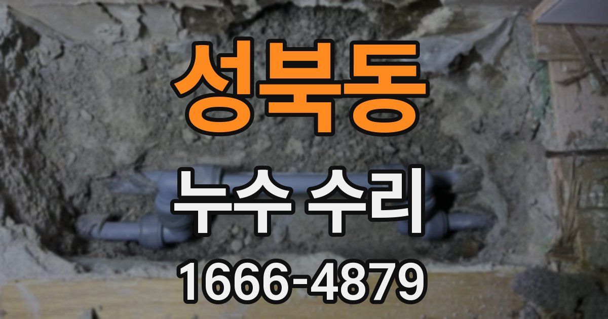 성북동 누수 수리