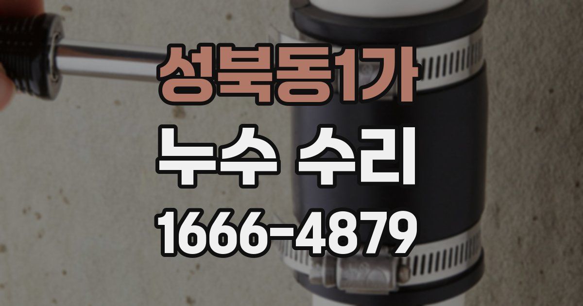성북동1가 누수 수리
