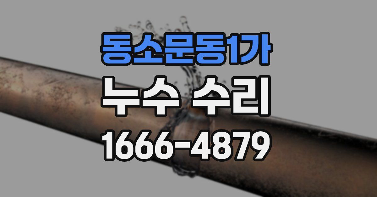 동소문동1가 누수 수리