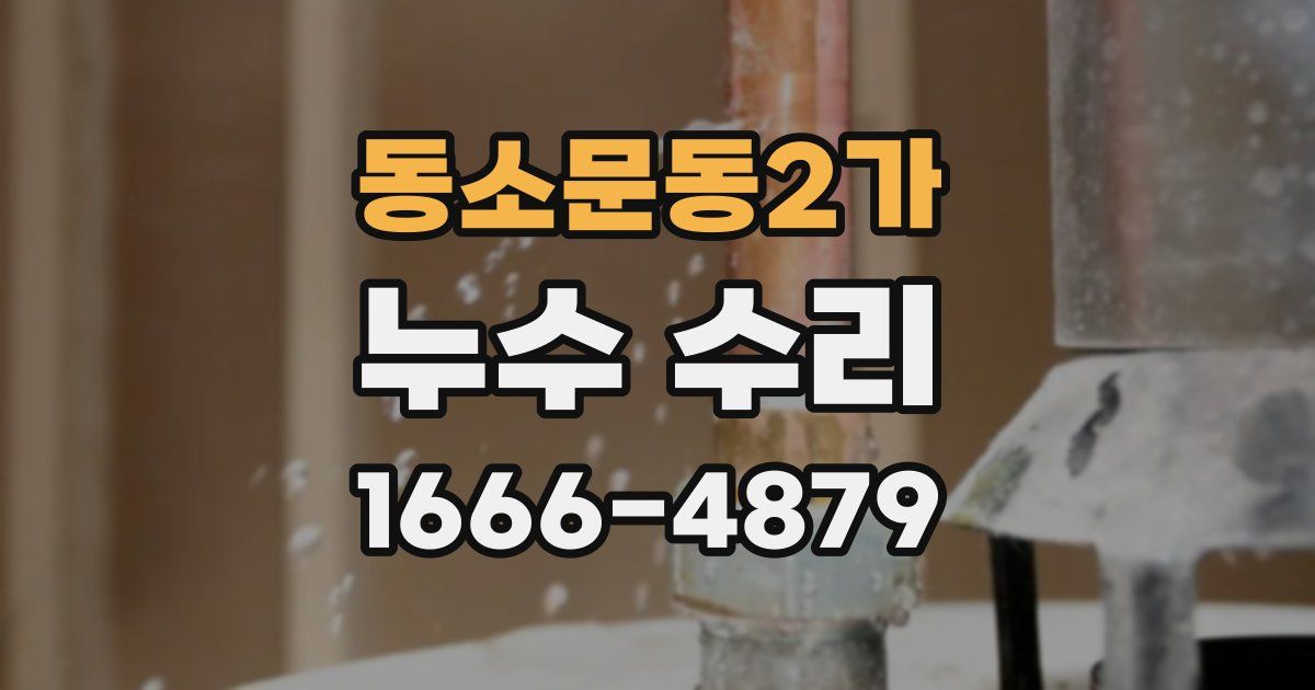 동소문동2가 누수 수리