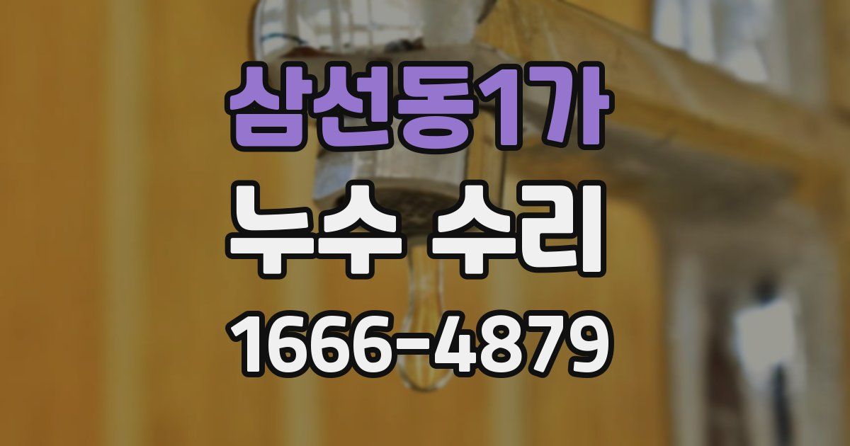 삼선동1가 누수 수리
