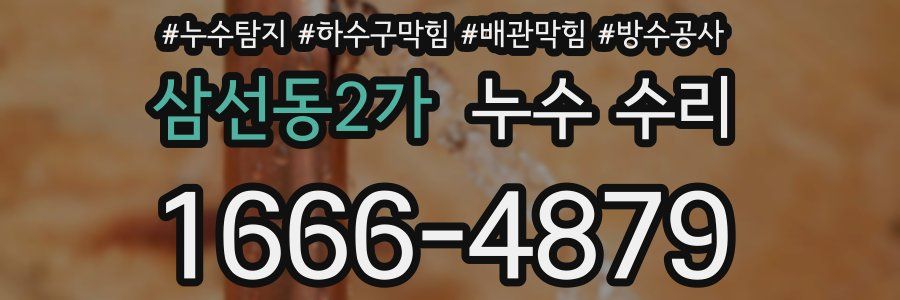 삼선동2가 누수 수리