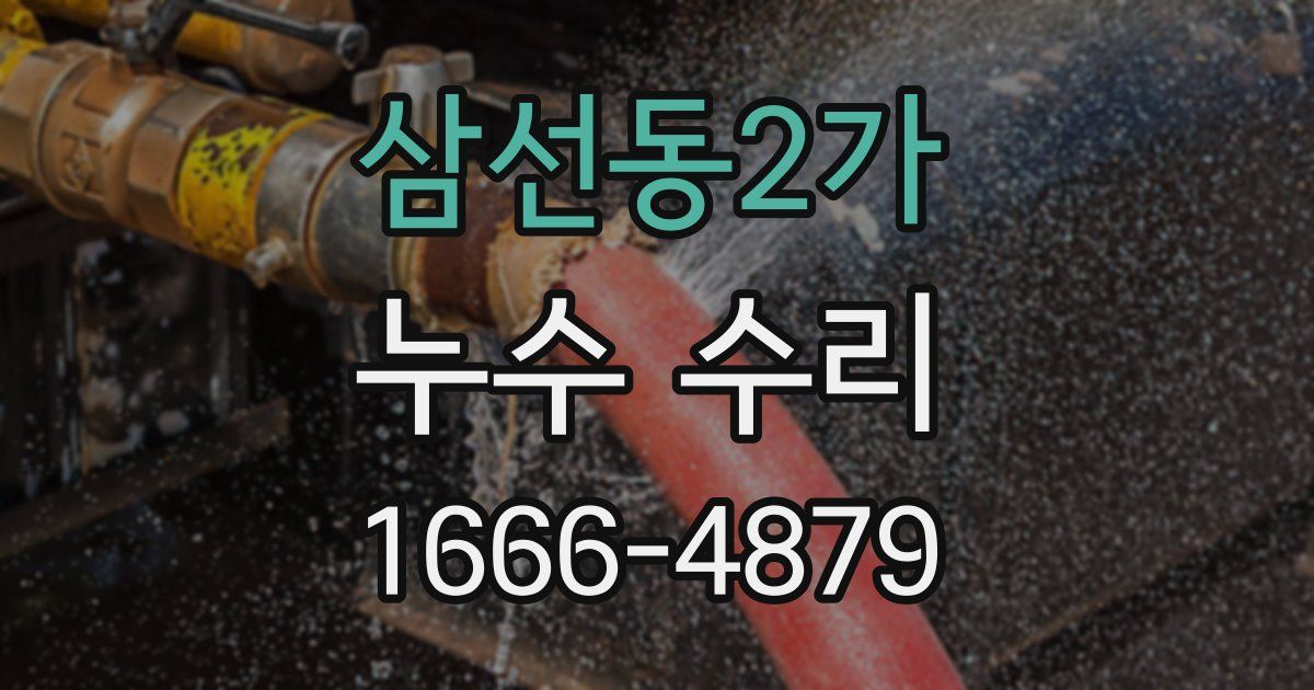 삼선동2가 누수 수리